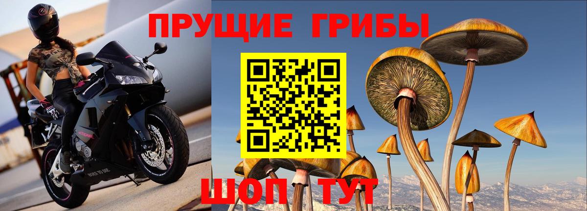 Галлюциногенные грибы ЛСД Касимов